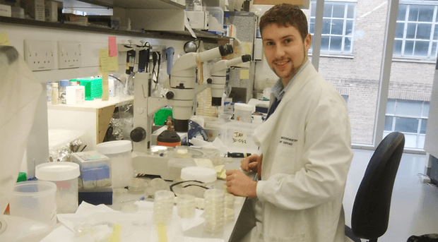 Research and lab work